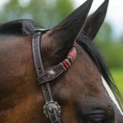 Double S Tooled One Ear Headstall -Schneiders Shop 41114 alt b