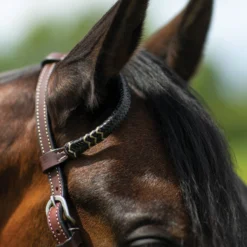Double S Harness Leather One Ear Headstall With Black Rawhide -Schneiders Shop 41115 alt b