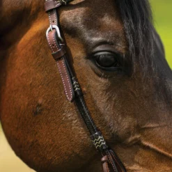 Double S Harness Leather One Ear Headstall With Black Rawhide -Schneiders Shop 41115 alt d