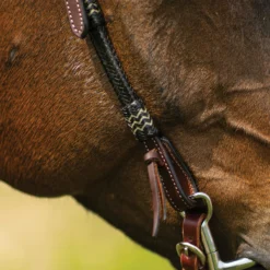 Double S Harness Leather One Ear Headstall With Black Rawhide -Schneiders Shop 41115 alt f