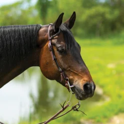 Double S Harness Leather One Ear Headstall With Black Rawhide -Schneiders Shop 41115 darkoil
