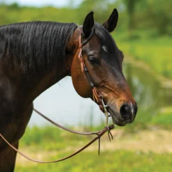 Double S Harness Leather One Ear Headstall With Black Rawhide -Schneiders Shop 41115 lightoil