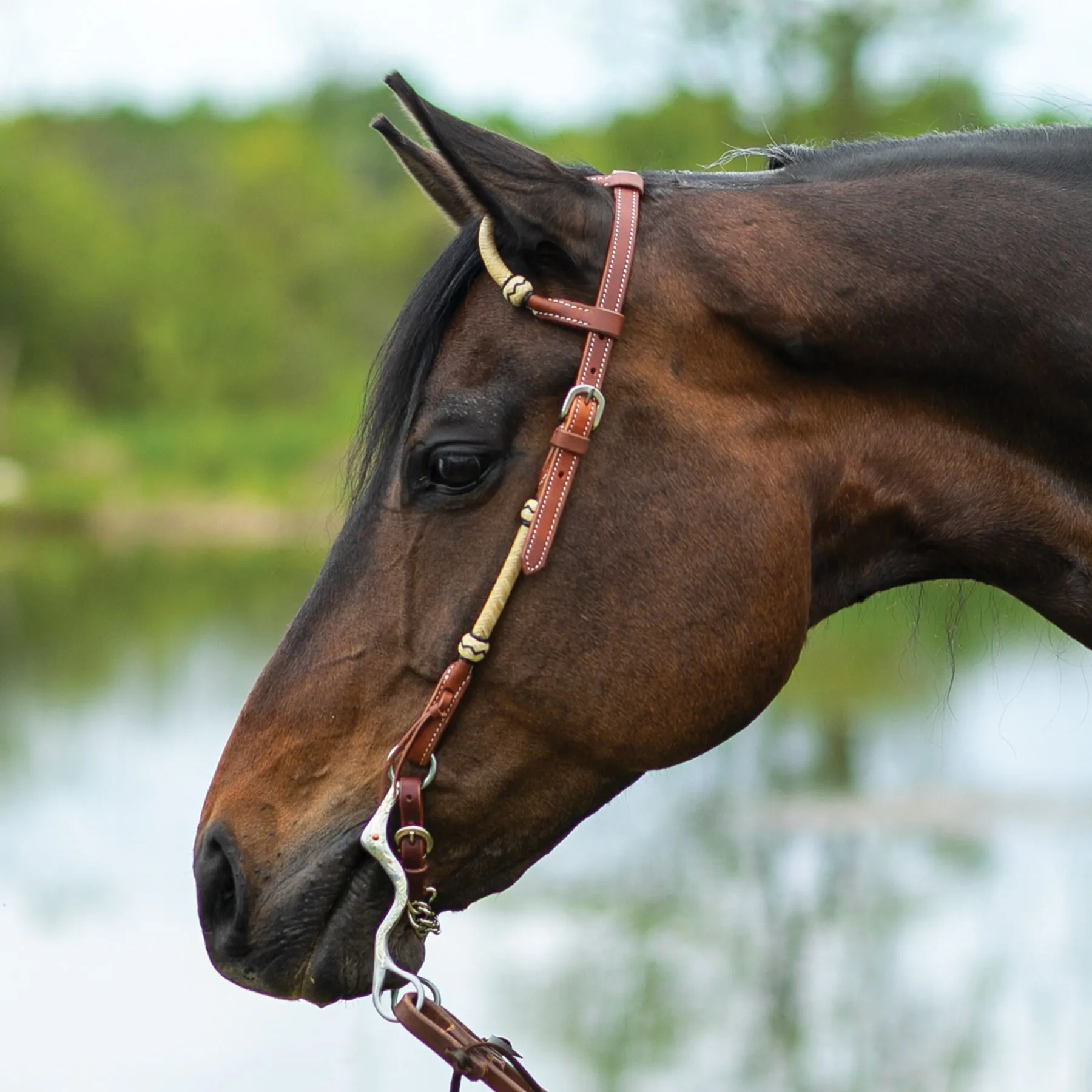 Double S Harness Leather Two Ear Headstall With Rawhide 5 Double S Harness Leather Two Ear Headstall With Rawhide - Image 3