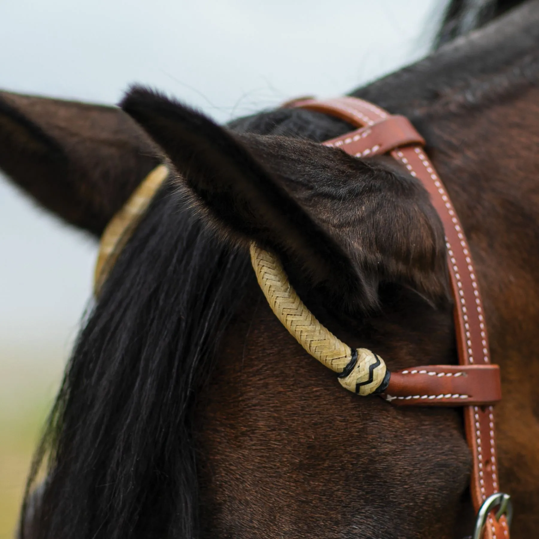 Double S Harness Leather Two Ear Headstall With Rawhide 6 Double S Harness Leather Two Ear Headstall With Rawhide - Image 4