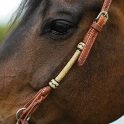 Double S Harness Leather Two Ear Headstall With Rawhide 17 Double S Harness Leather Two Ear Headstall With Rawhide -Schneiders Shop 41116 alt d