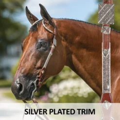 Double S Two Ear Diamond Spray Headstall -Schneiders Shop 41230 feature b overlay