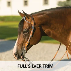 Double S Mia Headstall -Schneiders Shop 41233 feature b overlay