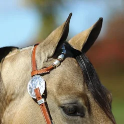 Schneiders Shop -Schneiders Shop 41244 alt a