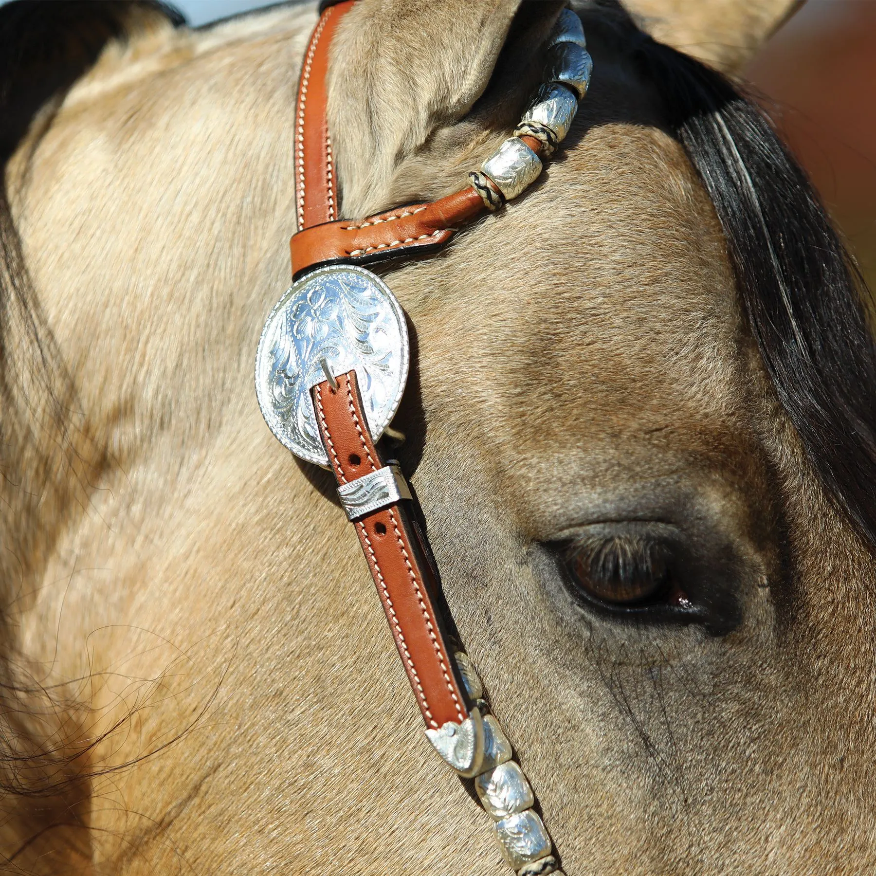 Raleigh Rawhide And Silver One Ear Headstall 5 Raleigh Rawhide And Silver One Ear Headstall - Image 3