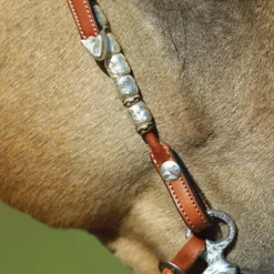 Raleigh Rawhide And Silver One Ear Headstall 14 Raleigh Rawhide And Silver One Ear Headstall -Schneiders Shop 41244 alt c