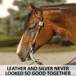 Billy Royal® Phoenix Two Ear Headstall -Schneiders Shop 41289 feature a overlay