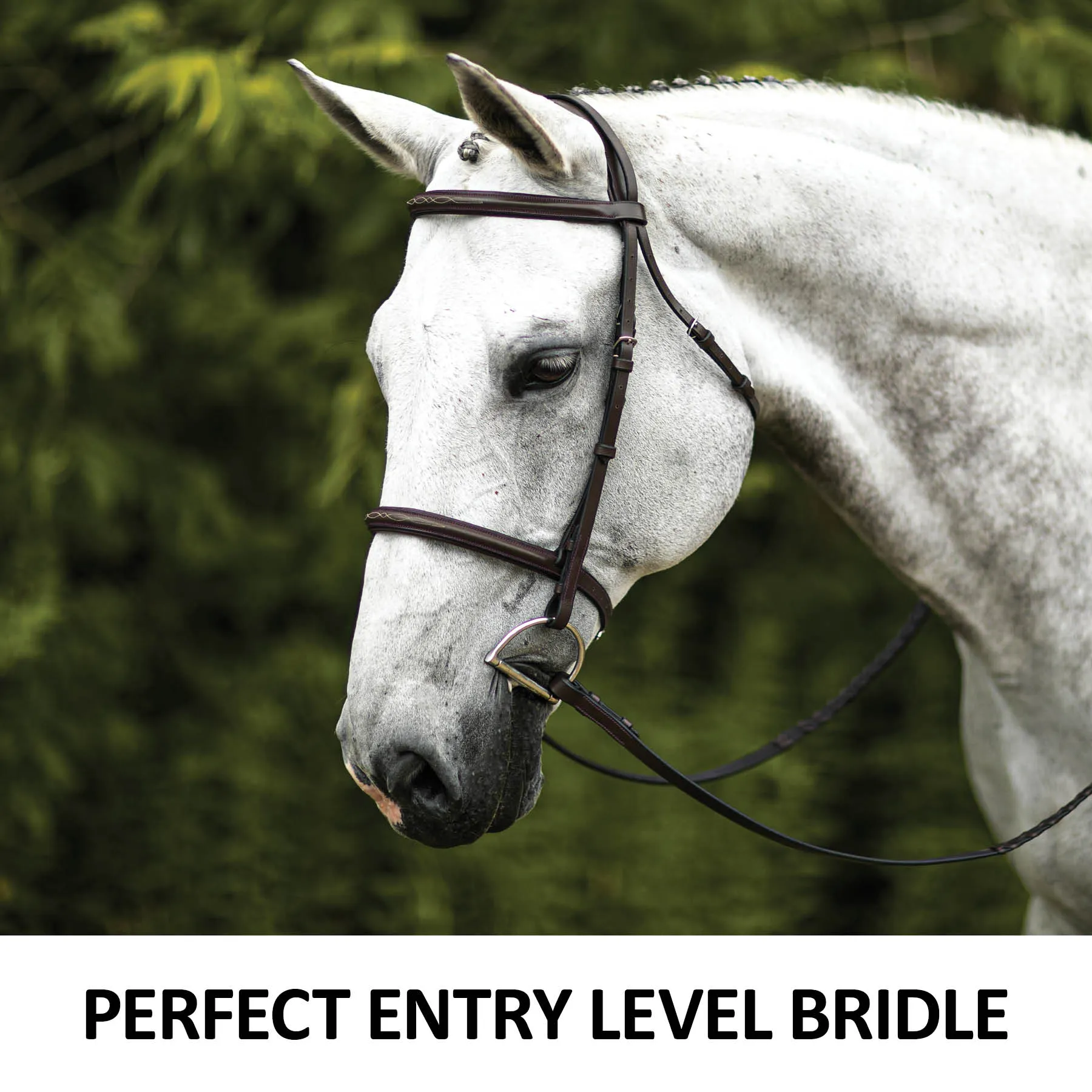 Premier® Premier Comfort Plus Padded Fancy Stitch Hunter Bridle For Horses 4 Premier® Premier Comfort Plus Padded Fancy Stitch Hunter Bridle For Horses - Image 2