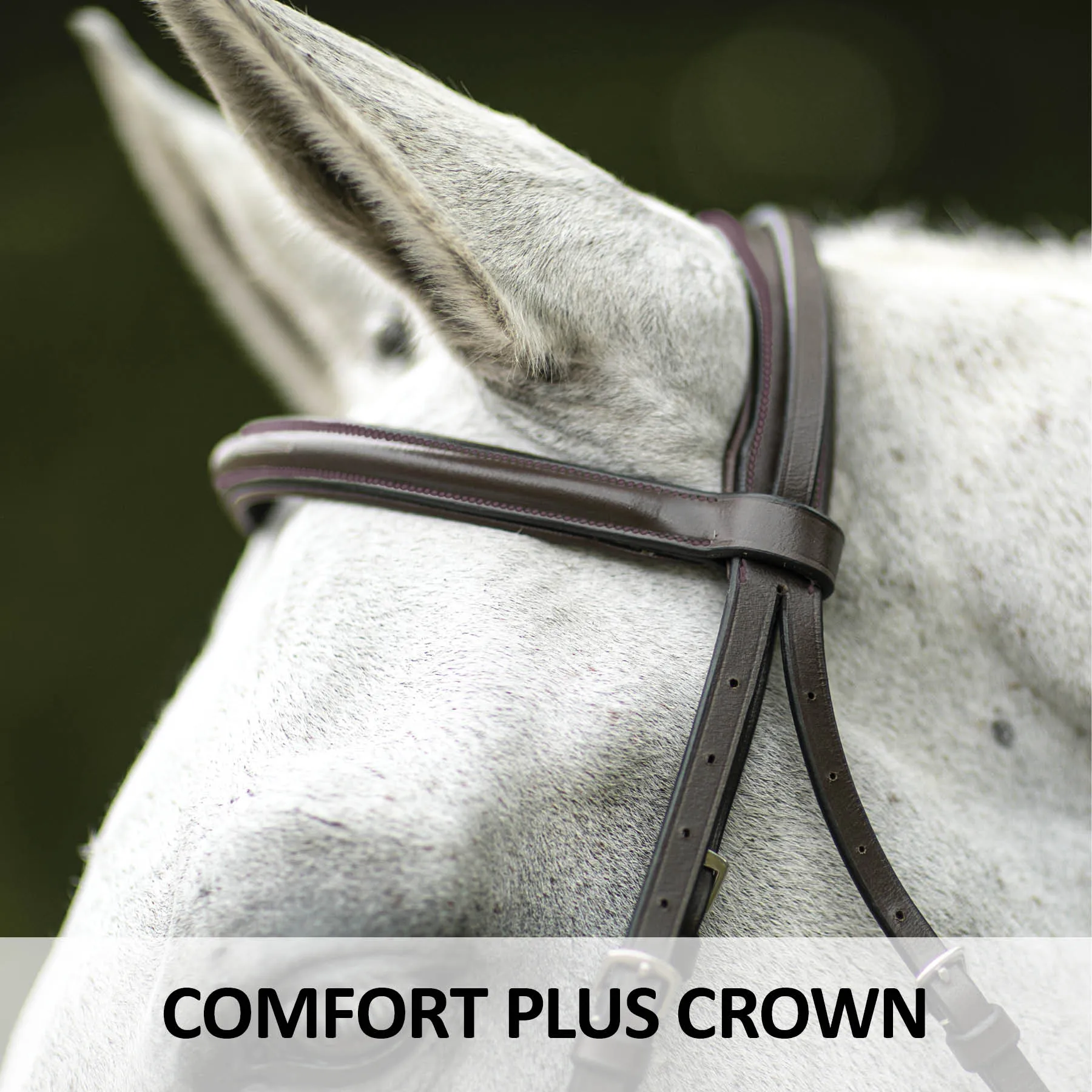 Premier® Premier Comfort Plus Padded Fancy Stitch Hunter Bridle For Horses 5 Premier® Premier Comfort Plus Padded Fancy Stitch Hunter Bridle For Horses - Image 3