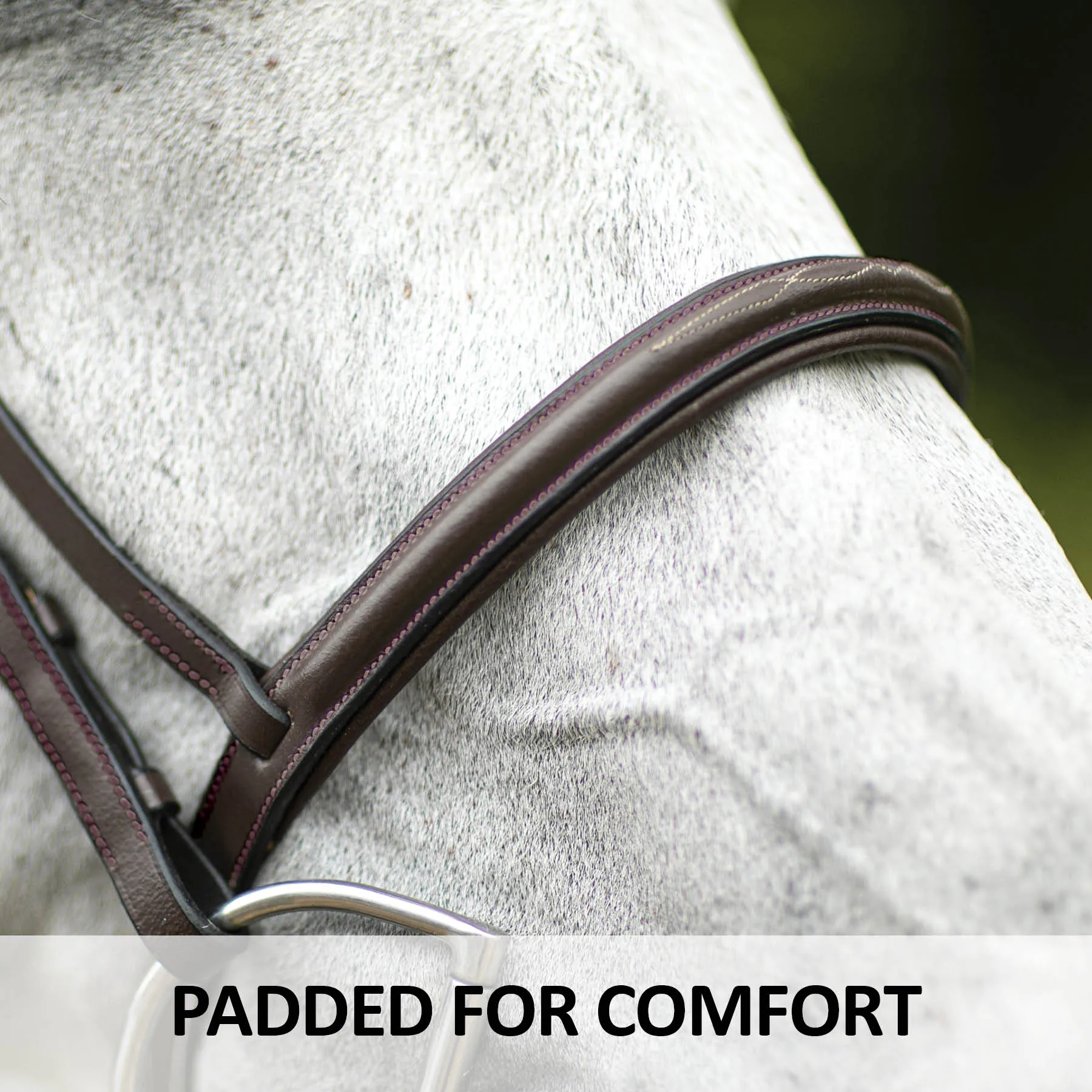 Premier® Premier Comfort Plus Padded Fancy Stitch Hunter Bridle For Horses 8 Premier® Premier Comfort Plus Padded Fancy Stitch Hunter Bridle For Horses - Image 6