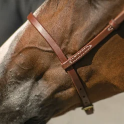 Billy Royal Oiled Royal Herman Oak Flat Nose Caveson For Horses -Schneiders Shop 41310 alt b