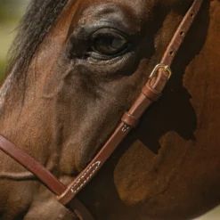 Billy Royal Oiled Royal Herman Oak Flat Nose Caveson For Horses -Schneiders Shop 41310 alt c