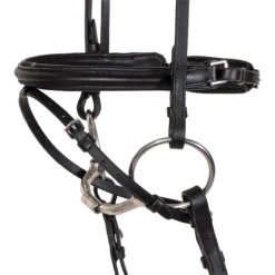 Premier® Premier Petite Dressage Bridle For Horses -Schneiders Shop 41358 alt b