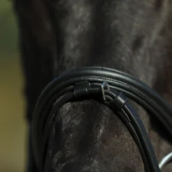 Premier® Premier Petite Dressage Bridle For Horses -Schneiders Shop 41358 alt g