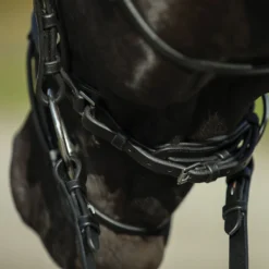 Premier® Premier Petite Dressage Bridle For Horses -Schneiders Shop 41358 alt h