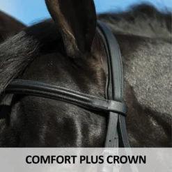 Premier® Premier Petite Dressage Bridle For Horses -Schneiders Shop 41358 feature b overlay