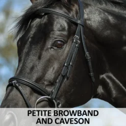 Premier® Premier Petite Dressage Bridle For Horses -Schneiders Shop 41358 feature c overlay