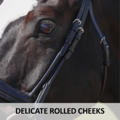 Joseph Sterling® Anatomic Snaffle Monocrown Dressage Bridle With Flash -Schneiders Shop 41684 feature d overlay