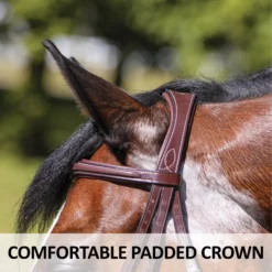 Joseph Sterling® Shaped Padded Monocrown English Bridle -Schneiders Shop 41686 feature b overlay