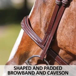 Joseph Sterling® Shaped Padded Monocrown English Bridle -Schneiders Shop 41686 feature c overlay