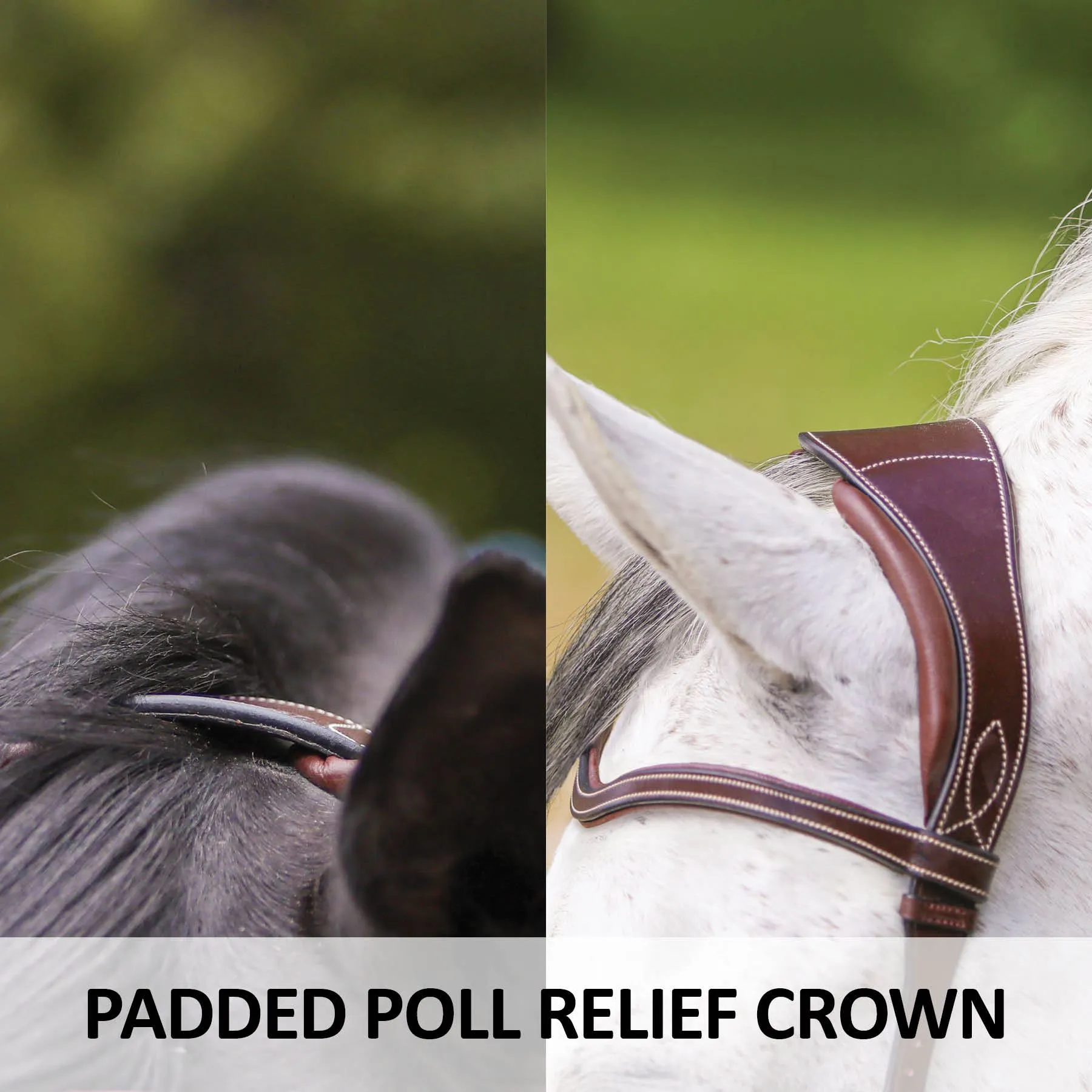 Joseph Sterling® Anatomic Poll Relief Monocrown English Bridle 5 Joseph Sterling® Anatomic Poll Relief Monocrown English Bridle - Image 3