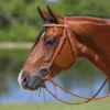 Double S Browband Training Bridle With Snaps -Schneiders Shop 41732