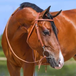 Double S Browband Training Bridle With Snaps -Schneiders Shop 41732 alt c