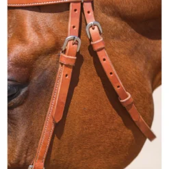 Double S Browband Training Bridle With Snaps -Schneiders Shop 41732 alt e