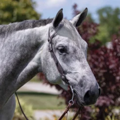 Double S Teardrop Basketweave One Ear Headstall