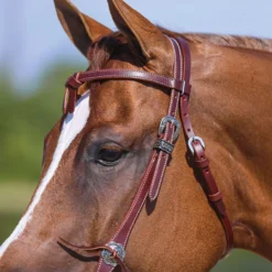 Double S Latigo Lined Futurity Browband Headstall -Schneiders Shop 41760 alt d