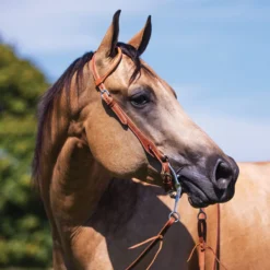 Double S Rolled One Ear Harness Leather Headstall -Schneiders Shop 41761 alt b