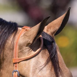 Double S Rolled One Ear Harness Leather Headstall -Schneiders Shop 41761 alt d