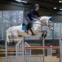 LeMieux® Prosport Close Contact Suede Saddle Pad -Schneiders Shop 41829 alt c