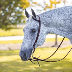 Billy Royal Basketweave Tooled One Ear Headstall