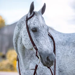 Billy Royal Basketweave Tooled One Ear Headstall -Schneiders Shop 41975 alt e