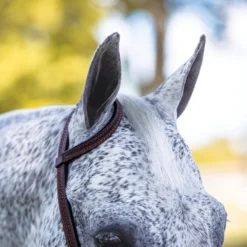 Billy Royal Basketweave Tooled One Ear Headstall -Schneiders Shop 41975 alt f