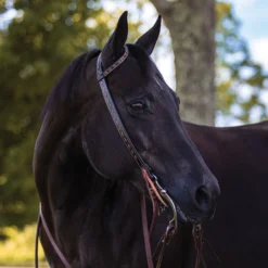 Billy Royal Buckstitch Cowboy Knot One Ear Headstall -Schneiders Shop 41976 alt f
