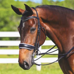Pinnacle Dressage Double Bridle