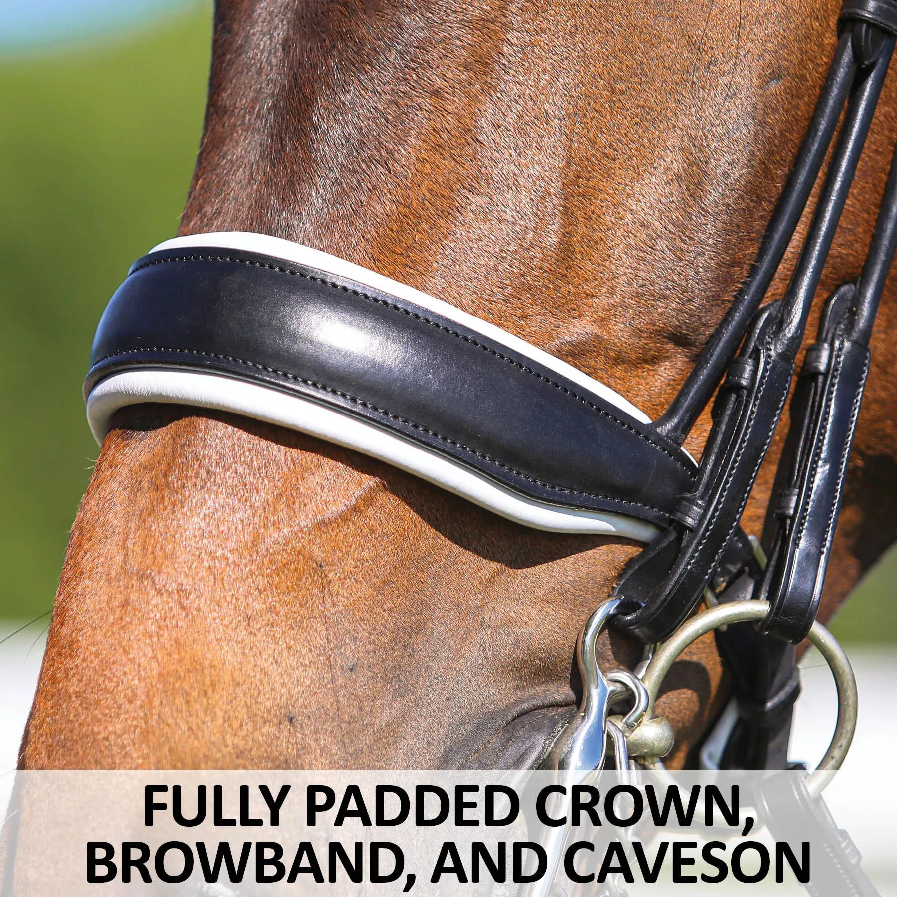 Pinnacle Dressage Double Bridle 5 Pinnacle Dressage Double Bridle - Image 3