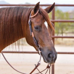 Double S Harness Leather One Ear Headstall