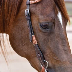 Double S Harness Leather One Ear Headstall -Schneiders Shop 42370 alt d