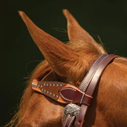 Double S Two-Tone Studded Browband Headstall -Schneiders Shop 42373 alt b