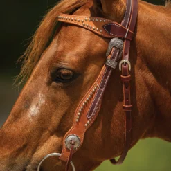 Double S Two-Tone Studded Browband Headstall -Schneiders Shop 42373 alt f