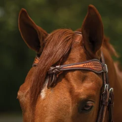 Double S Basketweave Futurity Browband Headstall -Schneiders Shop 42374 alt b