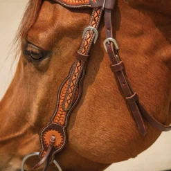 Double S Basketweave Futurity Browband Headstall -Schneiders Shop 42374 alt f