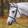 Premier® Premier Petite Raised Padded Bridle -Schneiders Shop 42457